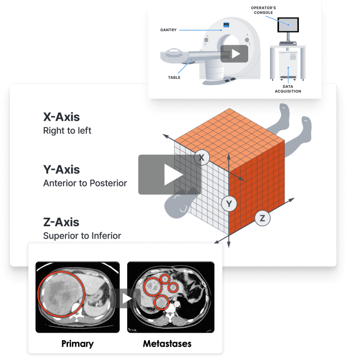 Sample videos from the Clover Learning platform